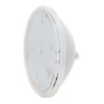 Ampoule de remplacement 60 LEDS blanches 13W 1450lm (connexion étanche)